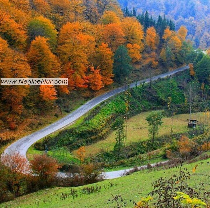 طبیعت زیبای مازندران